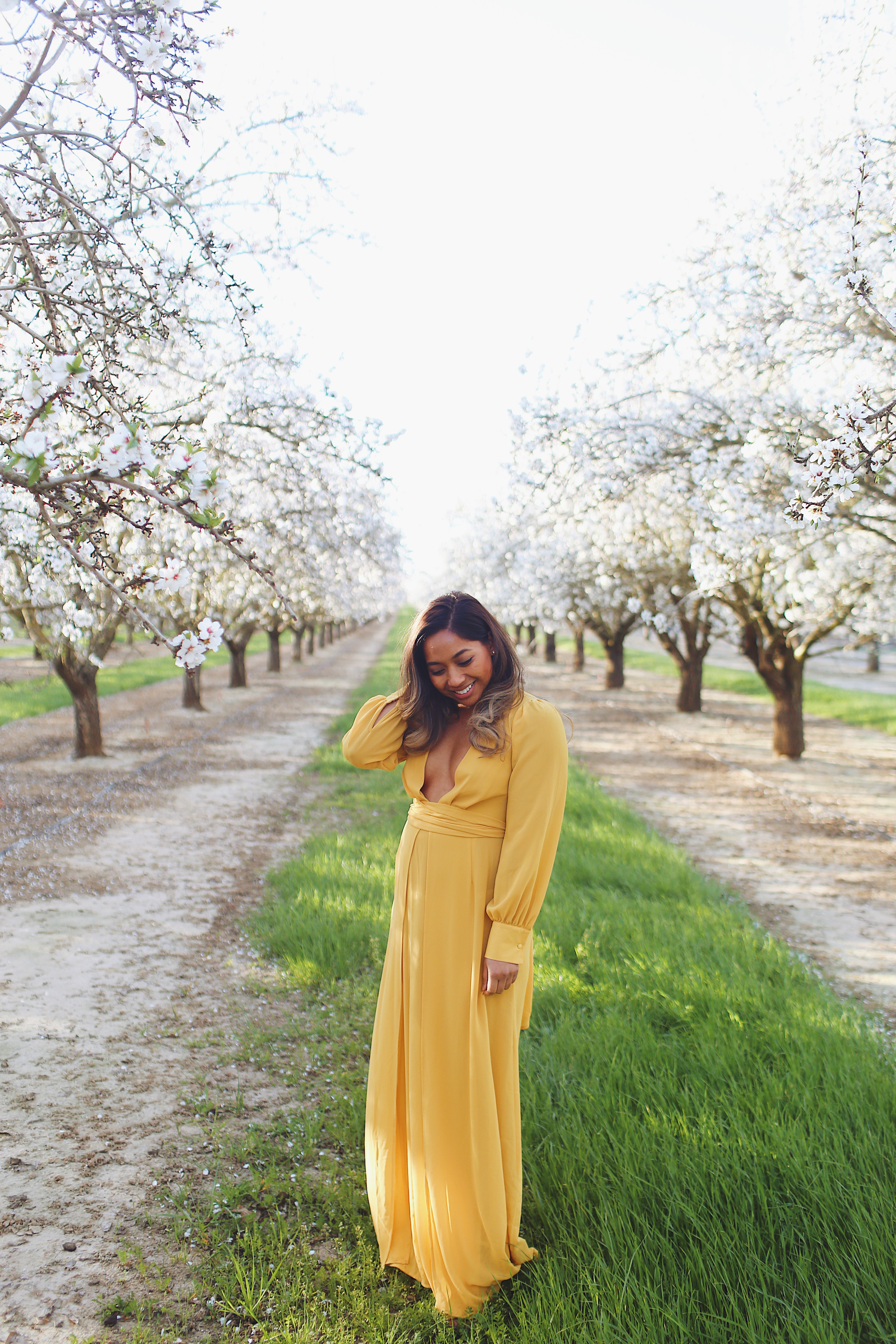 almond blossoms in california, spring bloom, Just In A City, flowers, yellow dress, wanderlust